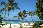 A beautiful Barbados beach. Photo: Responsibletravel.com