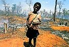 Madagascar