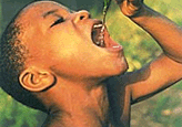 Drinking rainwater from banana leaf, Nigeria. (c) I. Uwanaka/UNEP