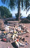 dirty beach