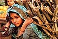 Collecting fuelwood