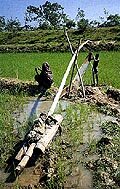 irrigation