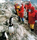 Tourists in Antarctica