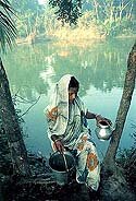 collecting water